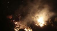 Während in Algerien eine Feuerwalze Wälder niederbrennt, wurde ein Mann von einem Mob lebendig verbrannt. (Symbolfoto)