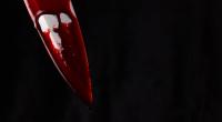 Eine Frau (25) hat ihren Verlobten mit einem Messer erstochen. (Symbolfoto)