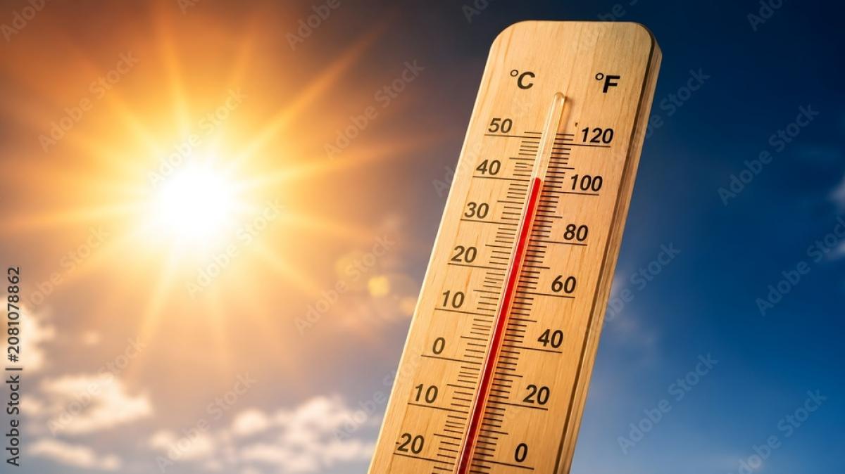 Wetter:&nbsp;Sonne statt Dauerregen, doch die N&auml;chte bleiben empfindlich k&uuml;hl (Foto)