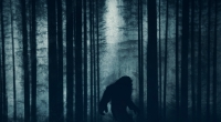 Erneut löst ein unscharfes Foto aus den Wäldern eines US-Bundesstaats für Bigfoot-Spekulationen.