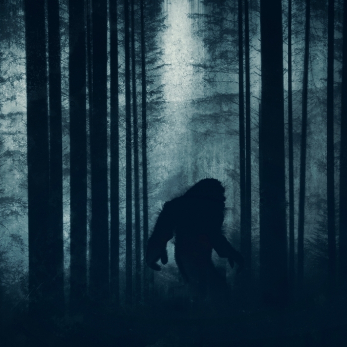 Mysteriöse Aufnahme! Beweist dieses Foto die Existenz des Sasquatch?