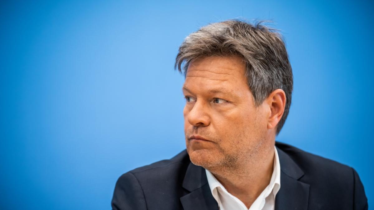 Robert Habeck sorgt mit seinen Pl&auml;nen zu neuen Solaranlagen f&uuml;r Unmut bei anderen Gr&uuml;nen-Politikern. (Foto)