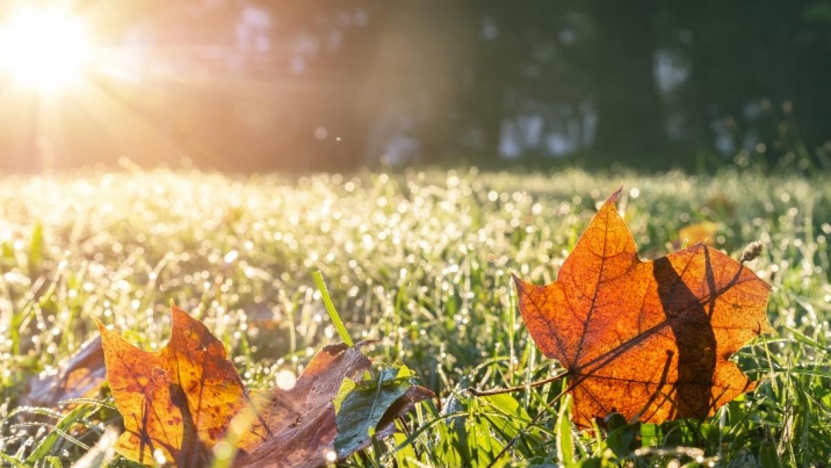 Anfang Oktober wird es wieder warm in Deutschland. (Foto)