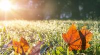 Anfang Oktober wird es wieder warm in Deutschland.