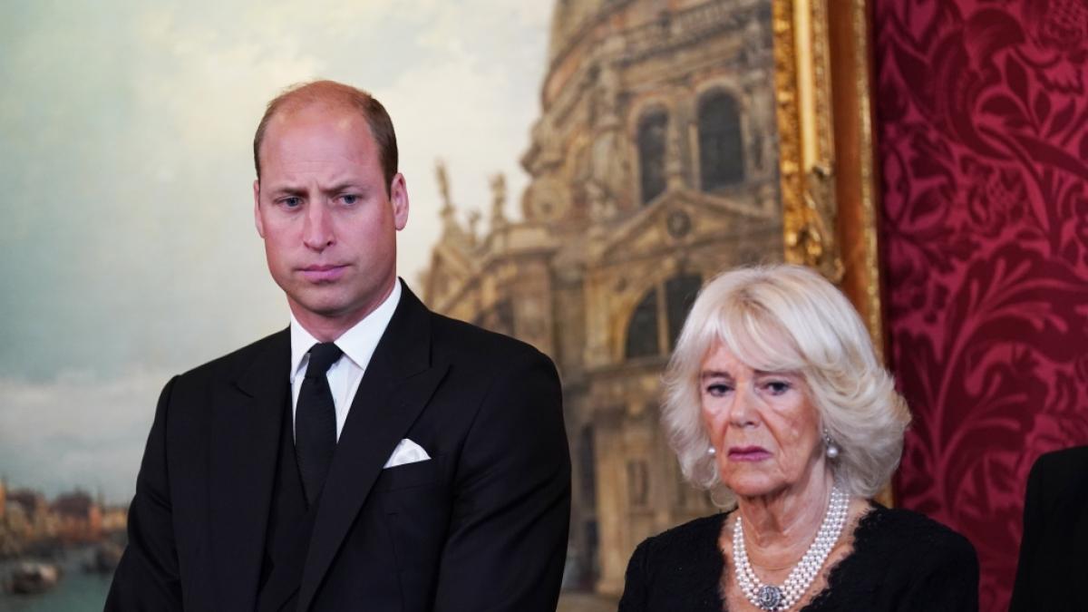 Prinz William und K&ouml;nigin Camilla sollen sich nicht besonders nahestehen. (Foto)