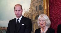 Prinz William und Königin Camilla sollen sich nicht besonders nahestehen.