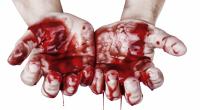 Der bestialische Mord an der walisischen Rentnerin Mabel Leyshon machte selbst hartgesottene Kriminalbeamte sprachlos (Symbolfoto).