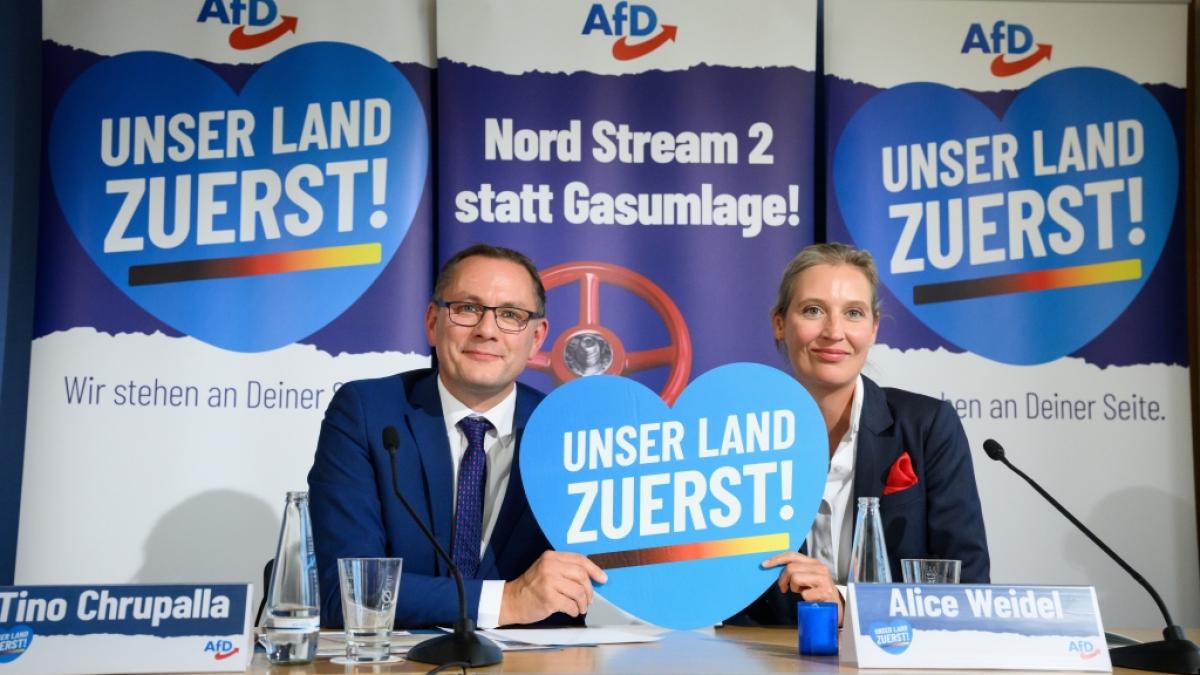 Die AfD-Bundessprecher Tino Chrupalla und Alice Weidel rufen am 8. Oktober in Berlin zur Demo "Unser Land zuerst!" auf. (Foto)