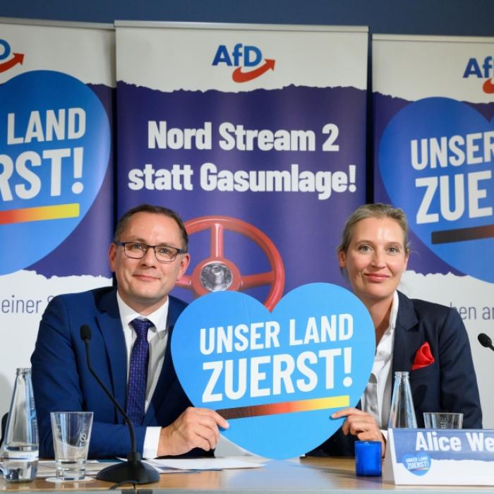 AfD-Vorsitzender: Grüne wollen das Land arm und schwach machen