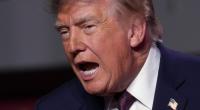 Donald Trump startet seine eigene KI-Einheit.