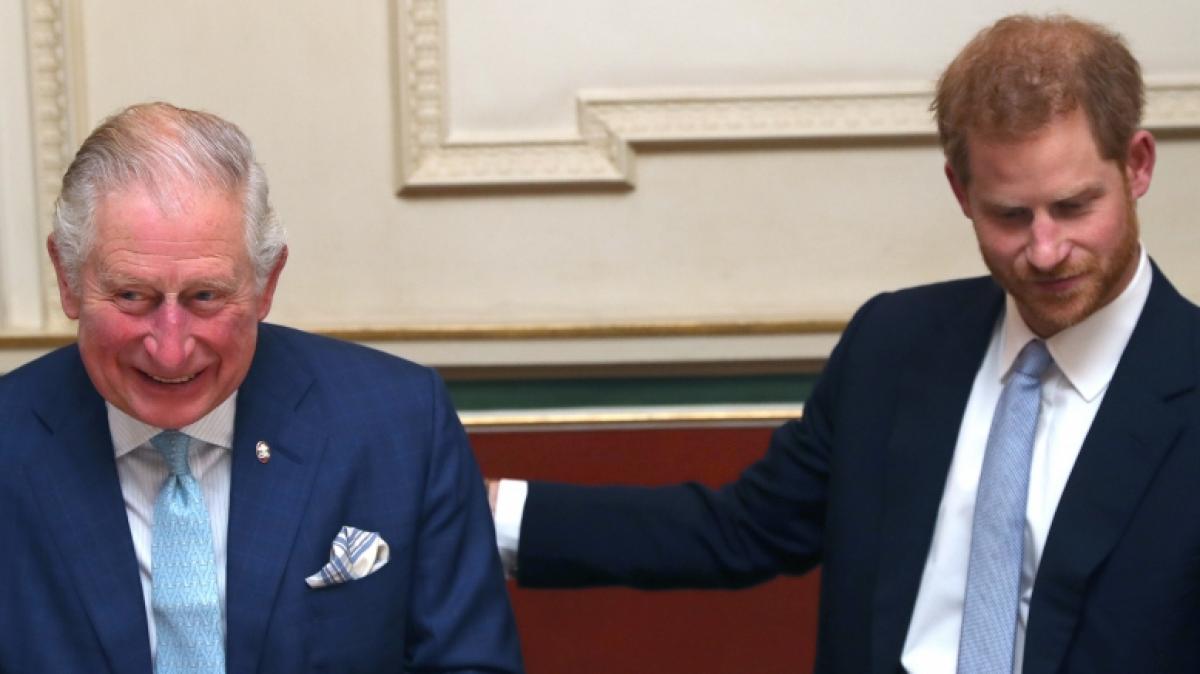 Ob K&ouml;nig Charles III. und Prinz Harry jemals wieder so vertraut beisammen sitzen werden? (Foto)