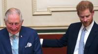 Ob König Charles III. und Prinz Harry jemals wieder so vertraut beisammen sitzen werden?