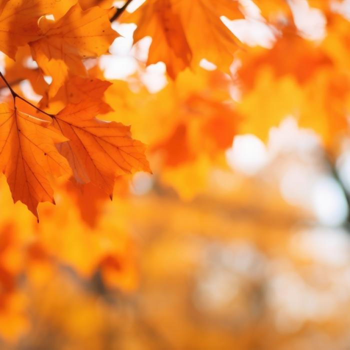 30 Grad bis zur Monatsmitte? Meteorologe mit extremer Herbst-Prognose 