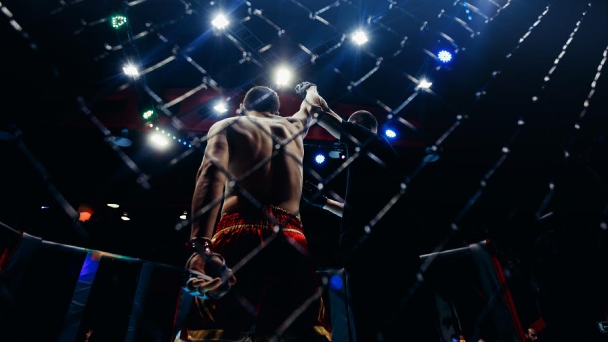Wer schnappt sich den Sieg bei UFC 283? (Foto)