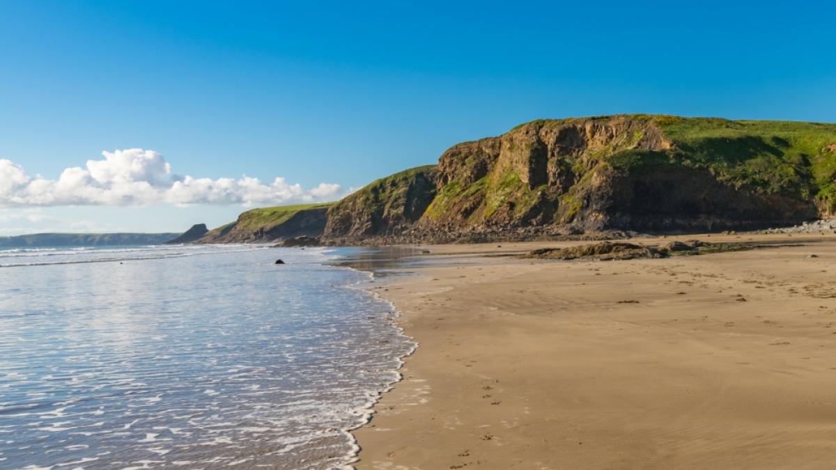 In Wales wurde ein gigantisches Meerungeheuer an den Strand gesp&uuml;lt. Biologen sind ratlos. Um welche Art von Kreatur handelt es sich? (Foto)
