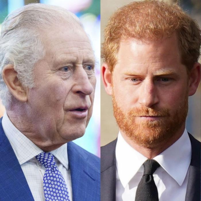 Eindeutiger Beweis! Er ist Prinz Harrys wahrer Vater