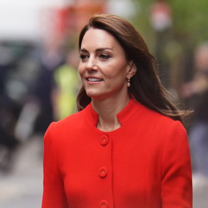 Nacktmodel terrorisiert Middleton-Familie nach Pleite-Drama