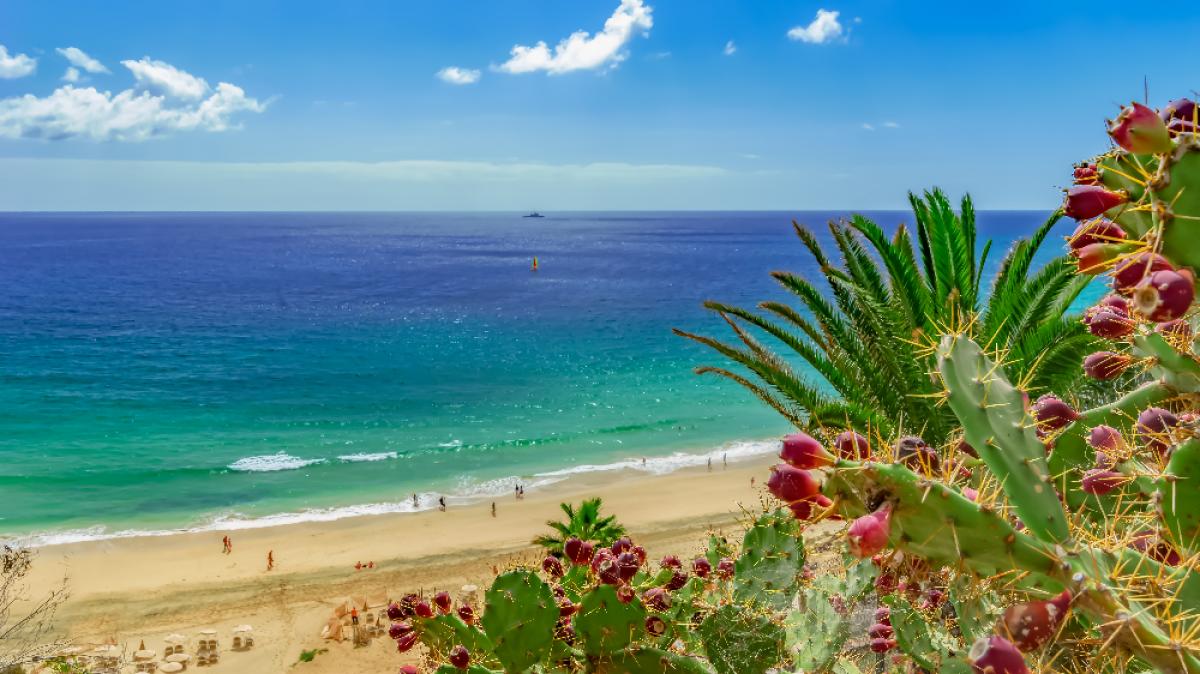 G&ouml;nnen Sie sich eine Auszeit am Meer! (Foto)