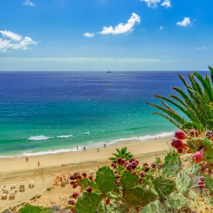Wie warm ist der Atlantik in den Urlaubsregionen derzeit