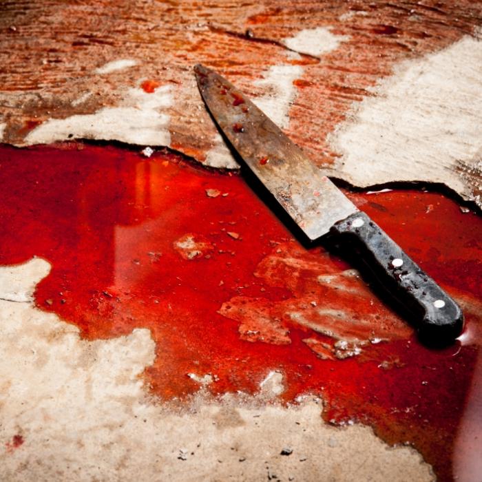 Tochter (39) ermordet Mutter (65) und zerstückelt Leiche