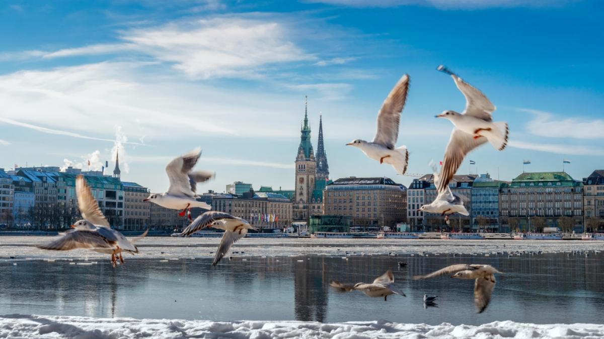 Wie hoch stehen die Chancen auf wei&szlig;e Weihnachten in diesem Winter? (Foto)