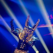 Der Anubis bei 