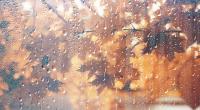 Vollherbst in Deutschland: Ende September gibt es eine Kältewelle mit Dauerregen. Welche Auswirkung hat dieses Wetter für den Winter? (Symbolfoto)