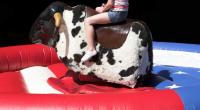 Ein neunjähriges Kind ist beim Bullenreiten gestorben.