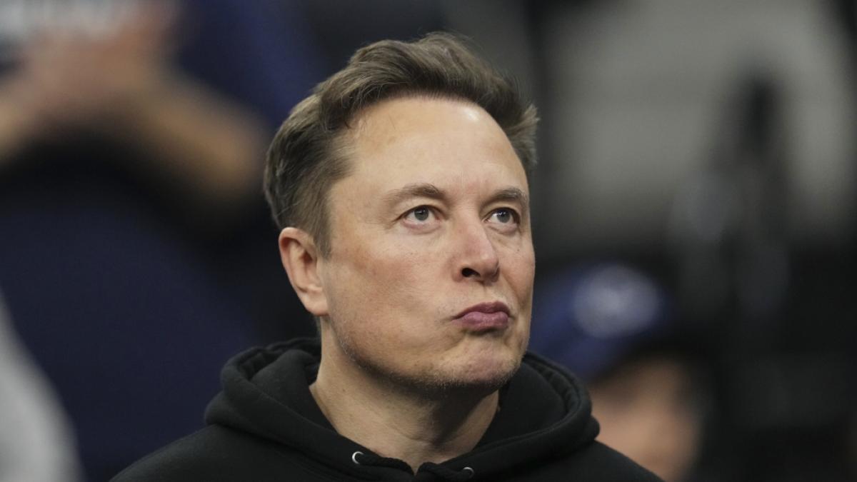 Elon Musk: AfD-Post sorgt f&uuml;r heftige Reaktionen. (Foto)