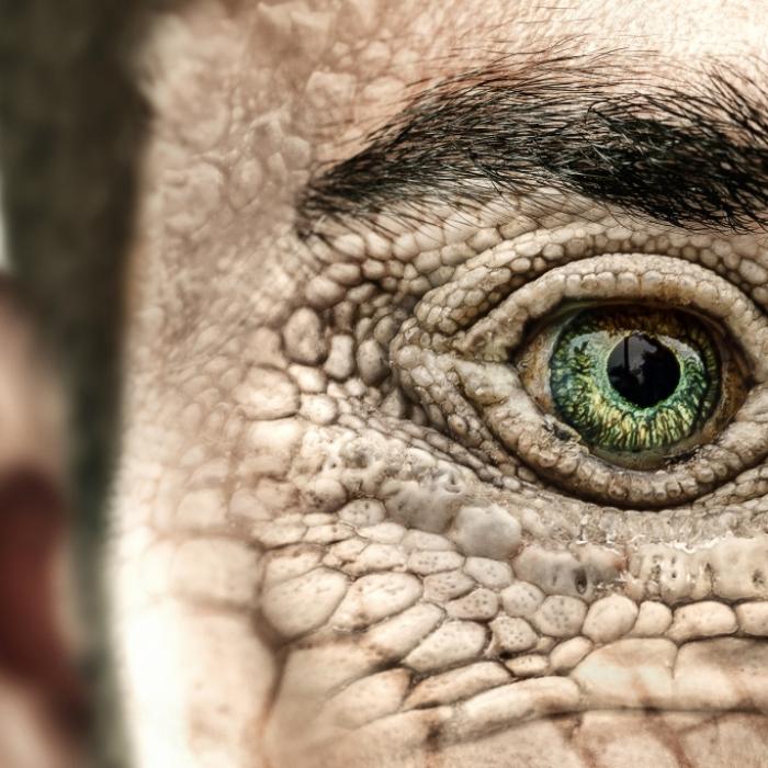 Er begegnete einem Reptilien-Alien! Ex-CIA-Agent schürt Verschwörungsmythos