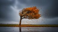 Nach einem Altweibersommer-Wochenende rollen gleich drei Sturmtiefs über die Bundesrepublik.