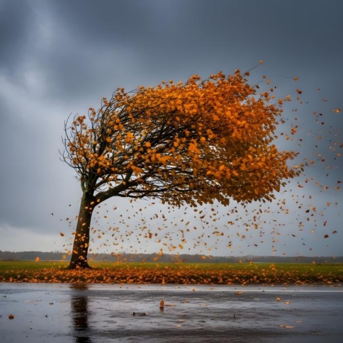 Sturmtief-Dreier vertreibt Altweibersommer aus Deutschland