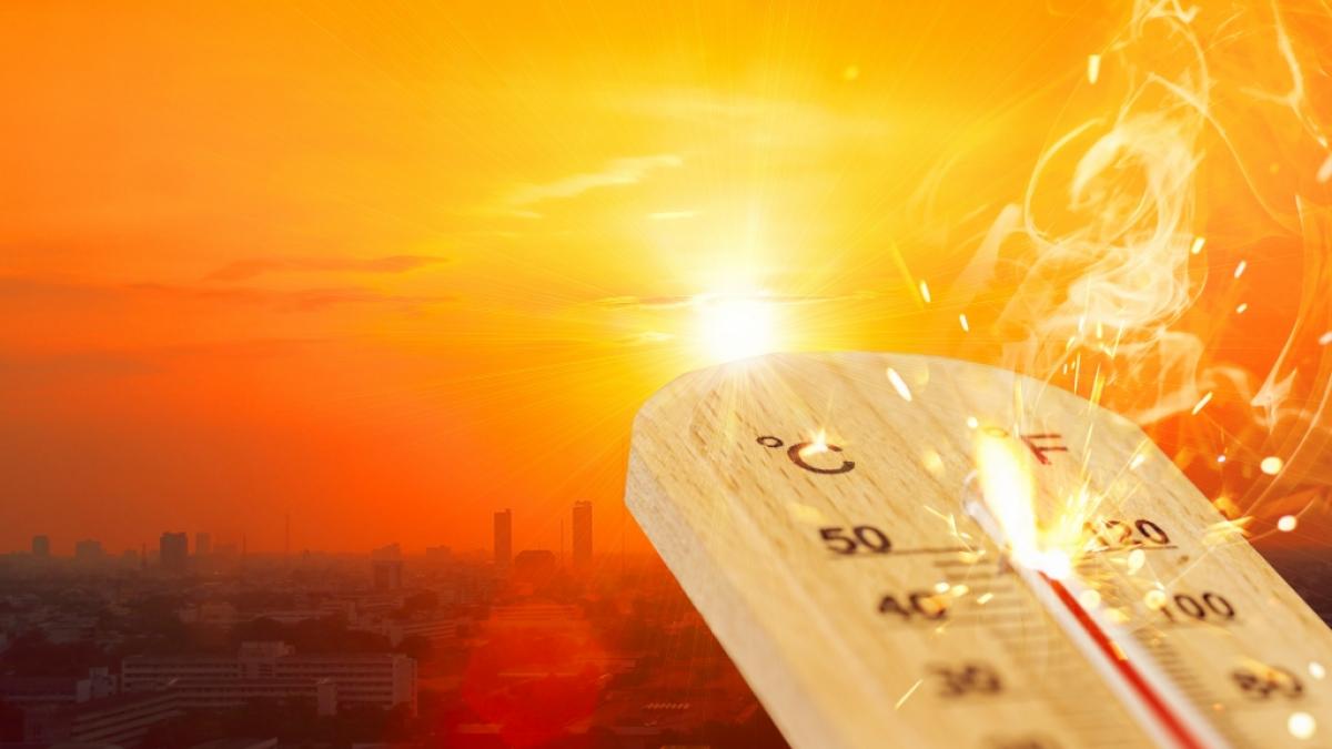 Eine Hitzewelle sorgt in Kanada f&uuml;r historische Temperaturen. (Foto)