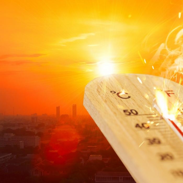 Fast 50 Grad Celsius! Dutzende Tote durch Rekordhitze
