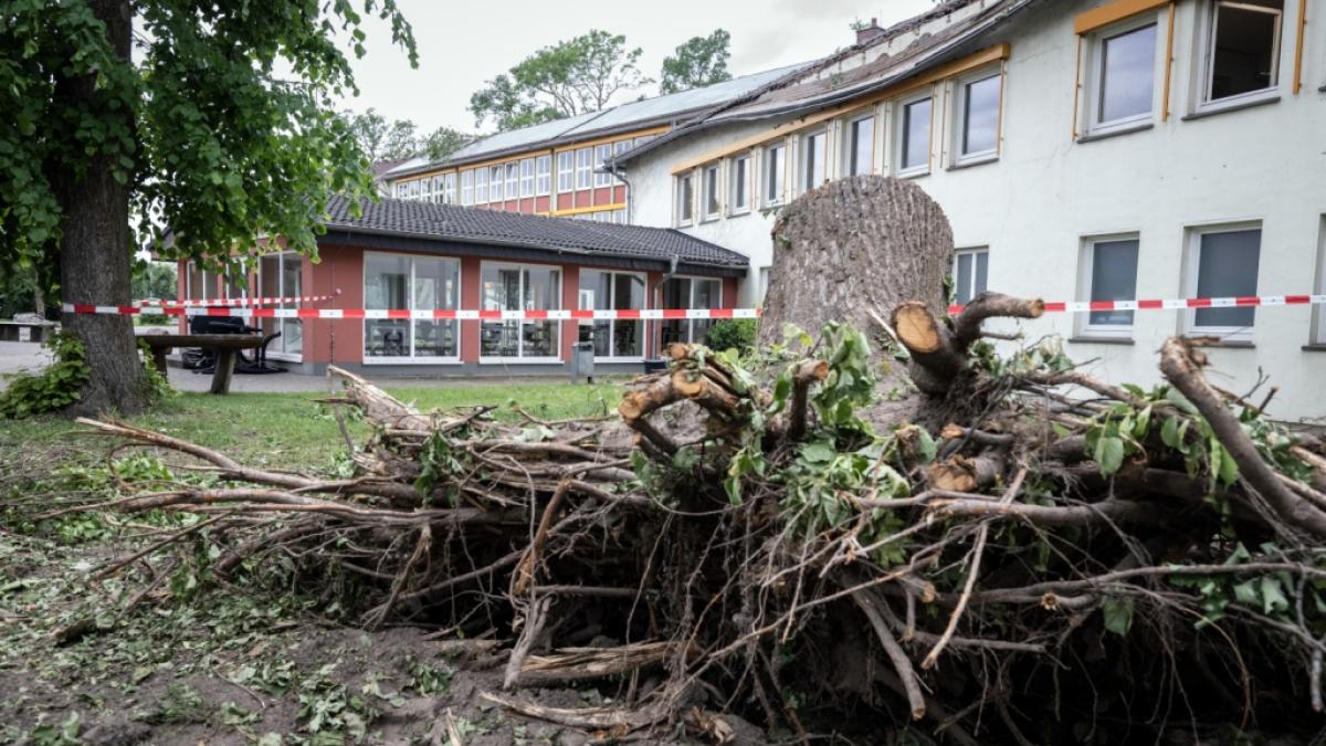 In Nordrhein-Westfalen sind die Spuren der Unwetter und Tornados nicht zu &uuml;bersehen. (Foto)