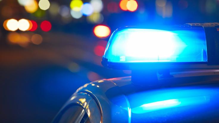 Im Kreis Kaiserslautern soll sich ein Gärtner mit mehreren Sprengfallen an