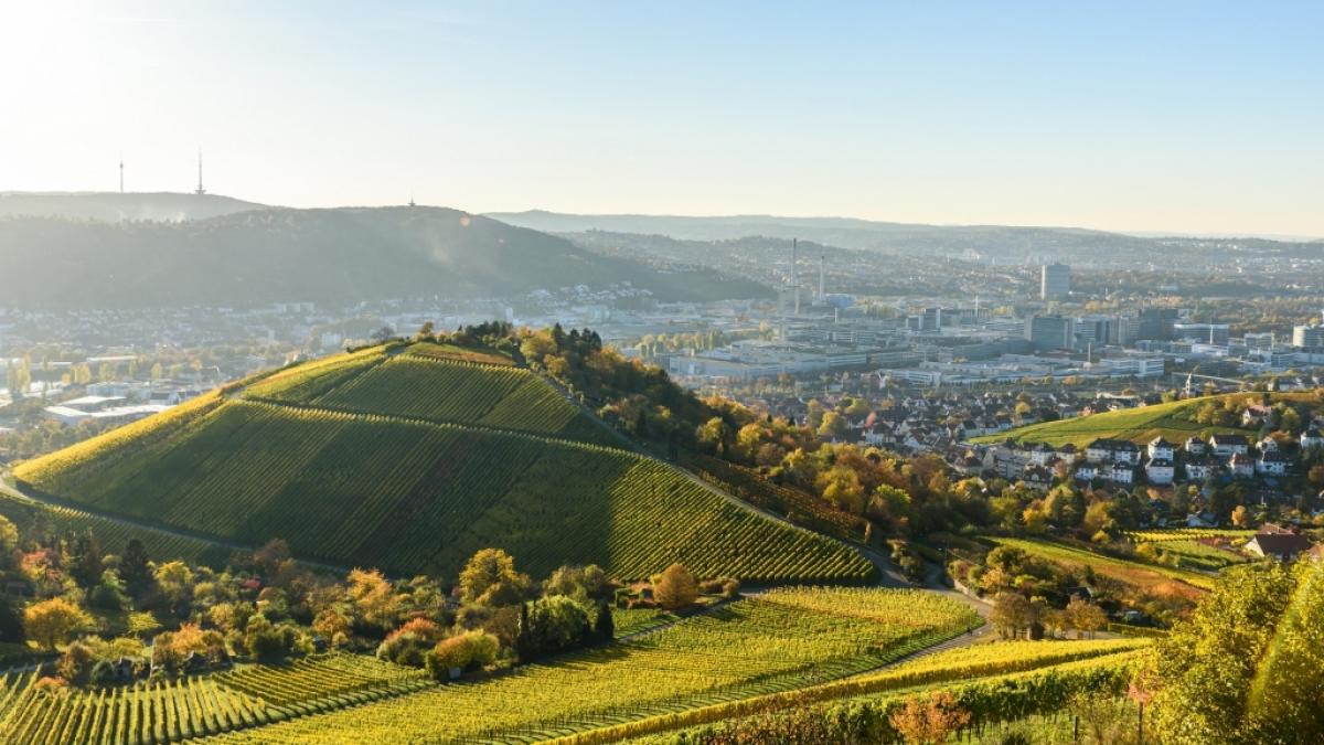 Weinberge bei Stuttgart. Aktuelle News aus und &uuml;ber Stuttgart hier auf news.de. (Foto)
