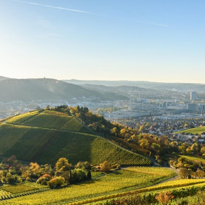 Zwei falsche Picassos in Stuttgarter Auktionshaus verkauft