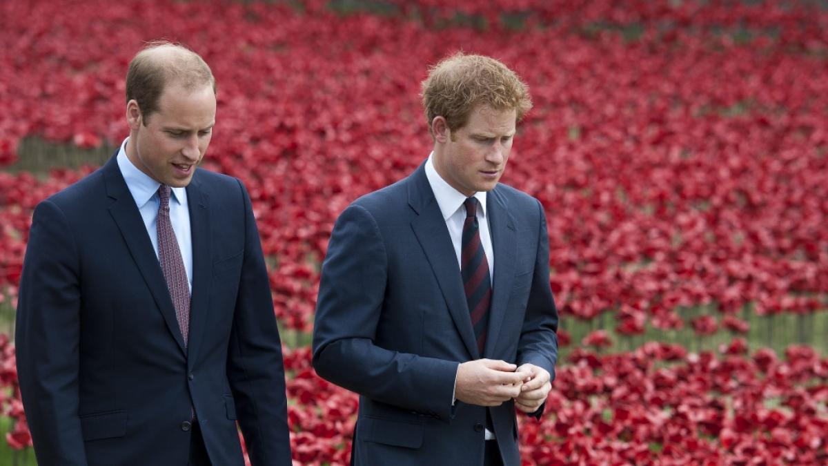 Wie zerr&uuml;ttet ist das Verh&auml;ltnis zwischen Prinz William und Prinz Harry tats&auml;chlich? (Foto)