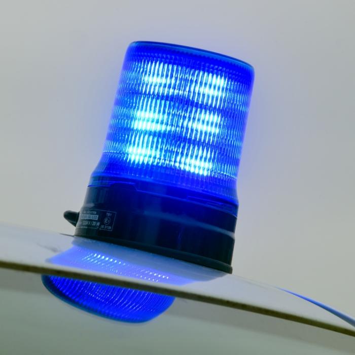 Giftspinne versetzt Discounter in Panik! Ihr Biss kann Dauererektion auslösen
