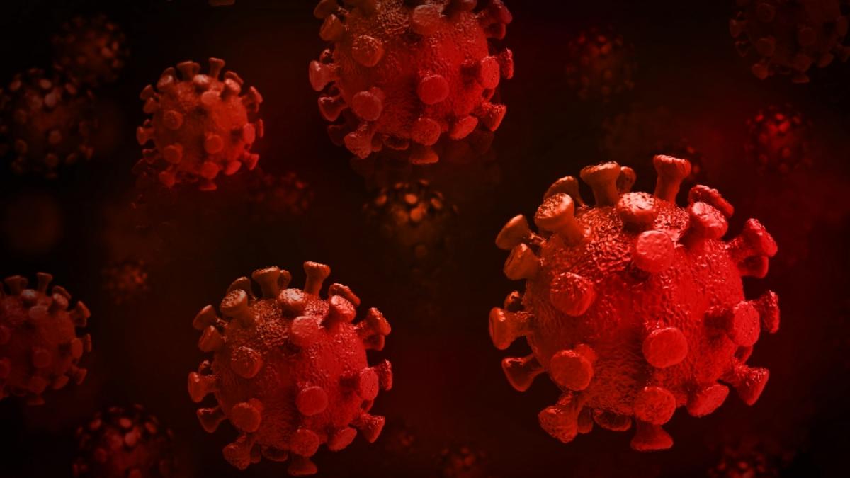 Einige Menschen reagieren mit einer "&uuml;bermenschlichen Immunit&auml;t" auf das Coronavirus. (Foto)