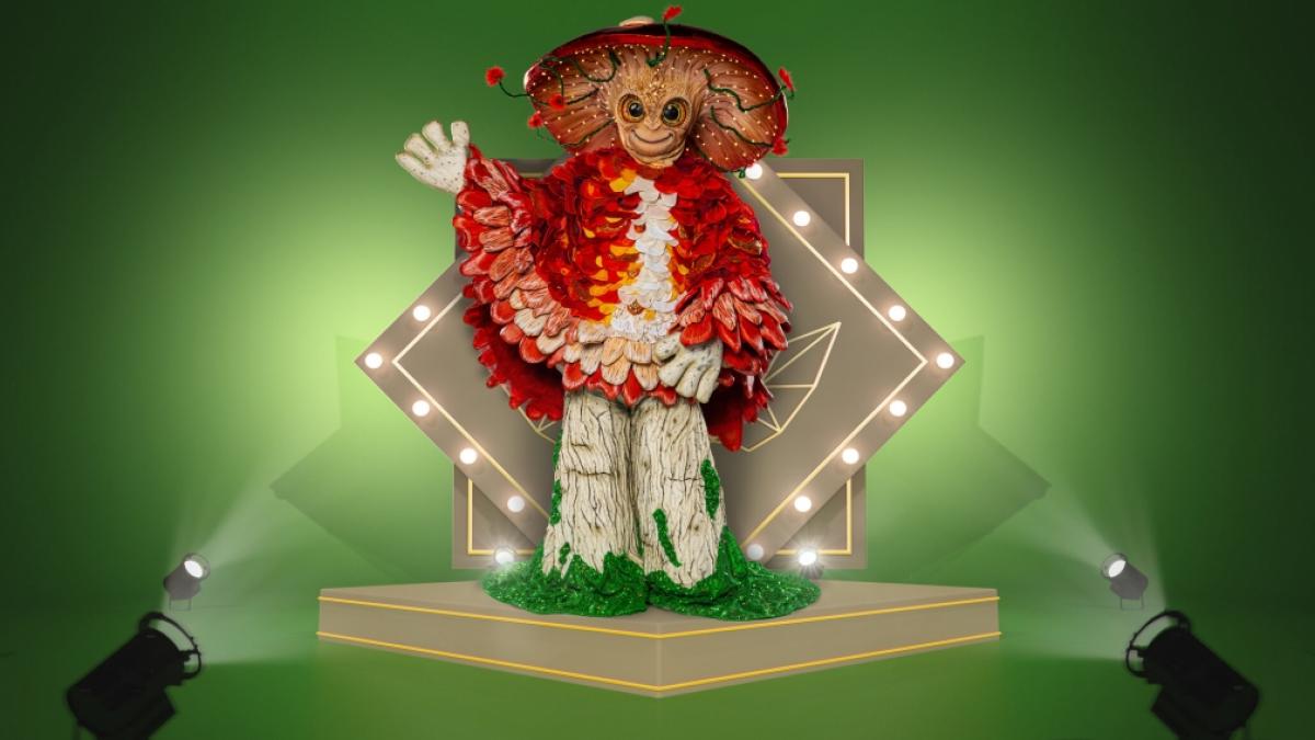 Von der Einsamkeit im Wald auf die schillernde "The Masked Singer"-B&uuml;hne: In der Pilz-Verkleidung stecken 600 Arbeitsstunden der Kost&uuml;m-Abteilung. (Foto)