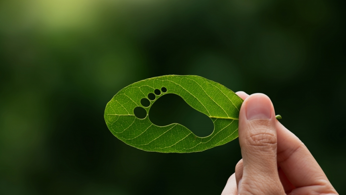 Wer umweltbewusst leben m&ouml;chte, kann mit der Reduktion des eigenen CO2-Fu&szlig;abdrucks anfangen. (Foto)