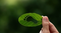 Wer umweltbewusst leben möchte, kann mit der Reduktion des eigenen CO2-Fußabdrucks anfangen.