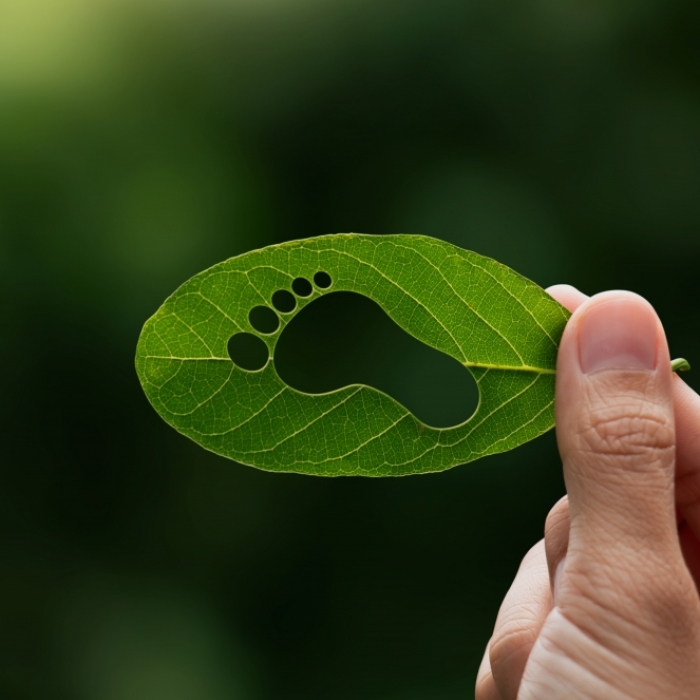 Mit diesen Tipps können Sie Ihren CO2-Fußabdruck senken