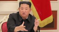 Nordkorea ist auf Google Maps nur verschwommen zu erkennen.