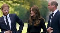 Prinz William im Kämpfermodus: Wenn es nach dem britischen Thronfolger geht, kriegt sein Bruder Prinz Harry im Palast keinen Fuß mehr in die Tür.