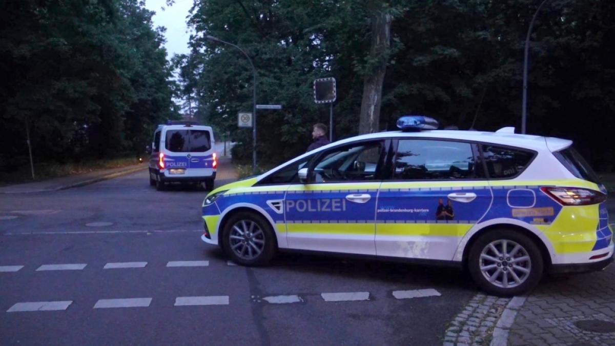 Die Polizei Brandenburg sucht nach einer entlaufenen Raubkatze. (Foto)