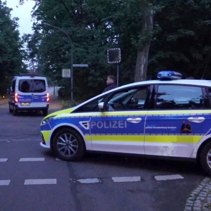 Analyse-Ergebnisse sind da! Spur stammt von Pflanzenfresser