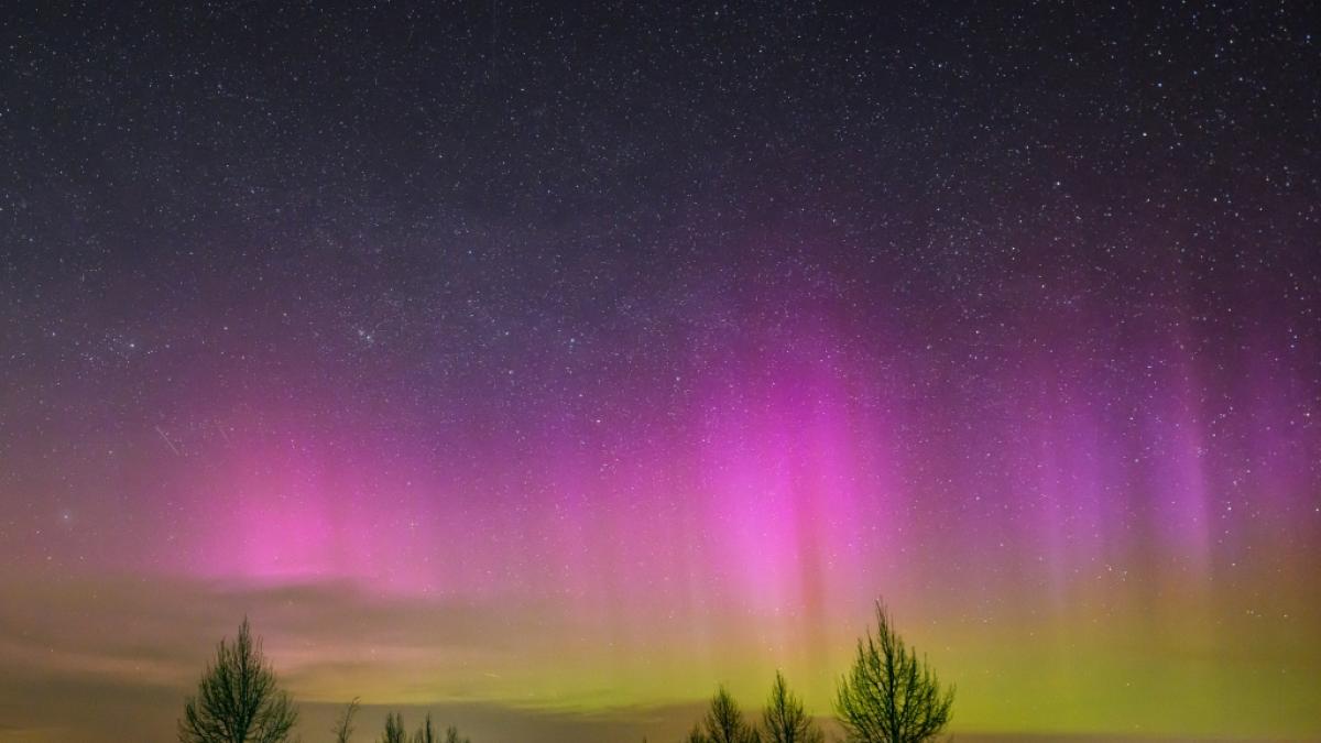 Polarlichter leuchten am Nachthimmel &uuml;ber einer Stra&szlig;e im Landkreis M&auml;rkisch-Oderland in Ostbrandenburg. (Foto)